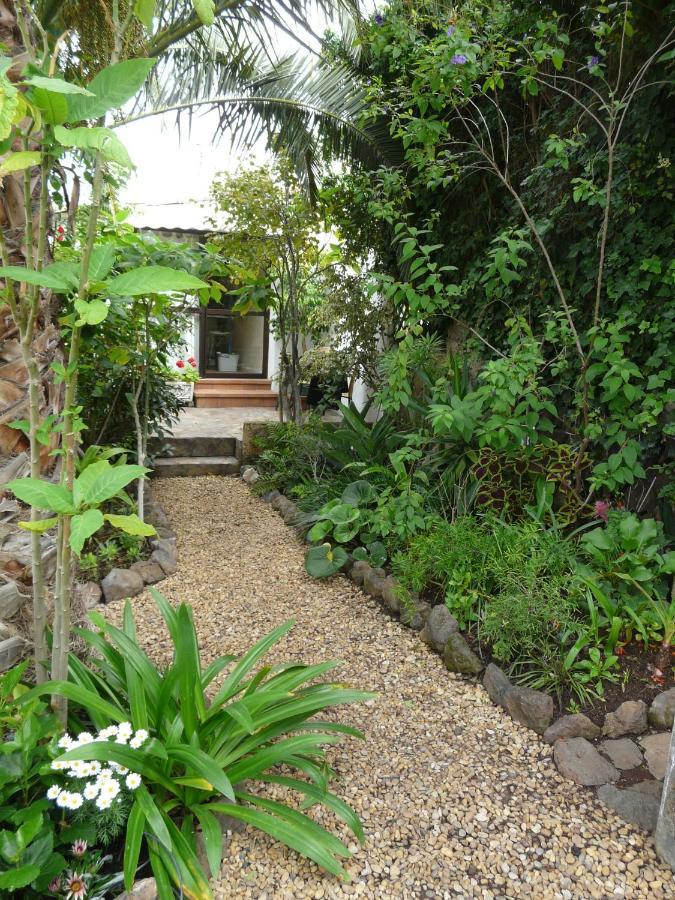 Casa Flora Loft Studio 绍萨尔 外观 照片