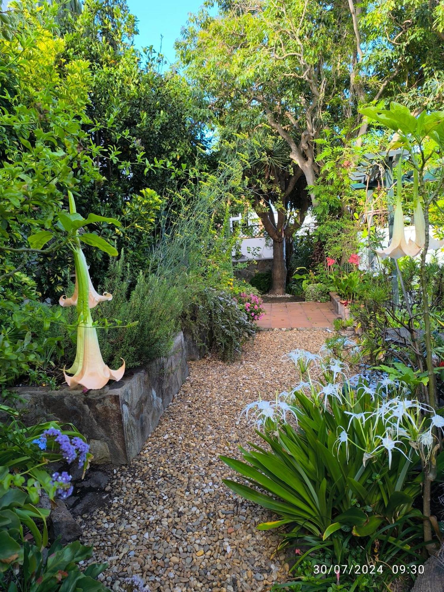 Casa Flora Loft Studio 绍萨尔 外观 照片
