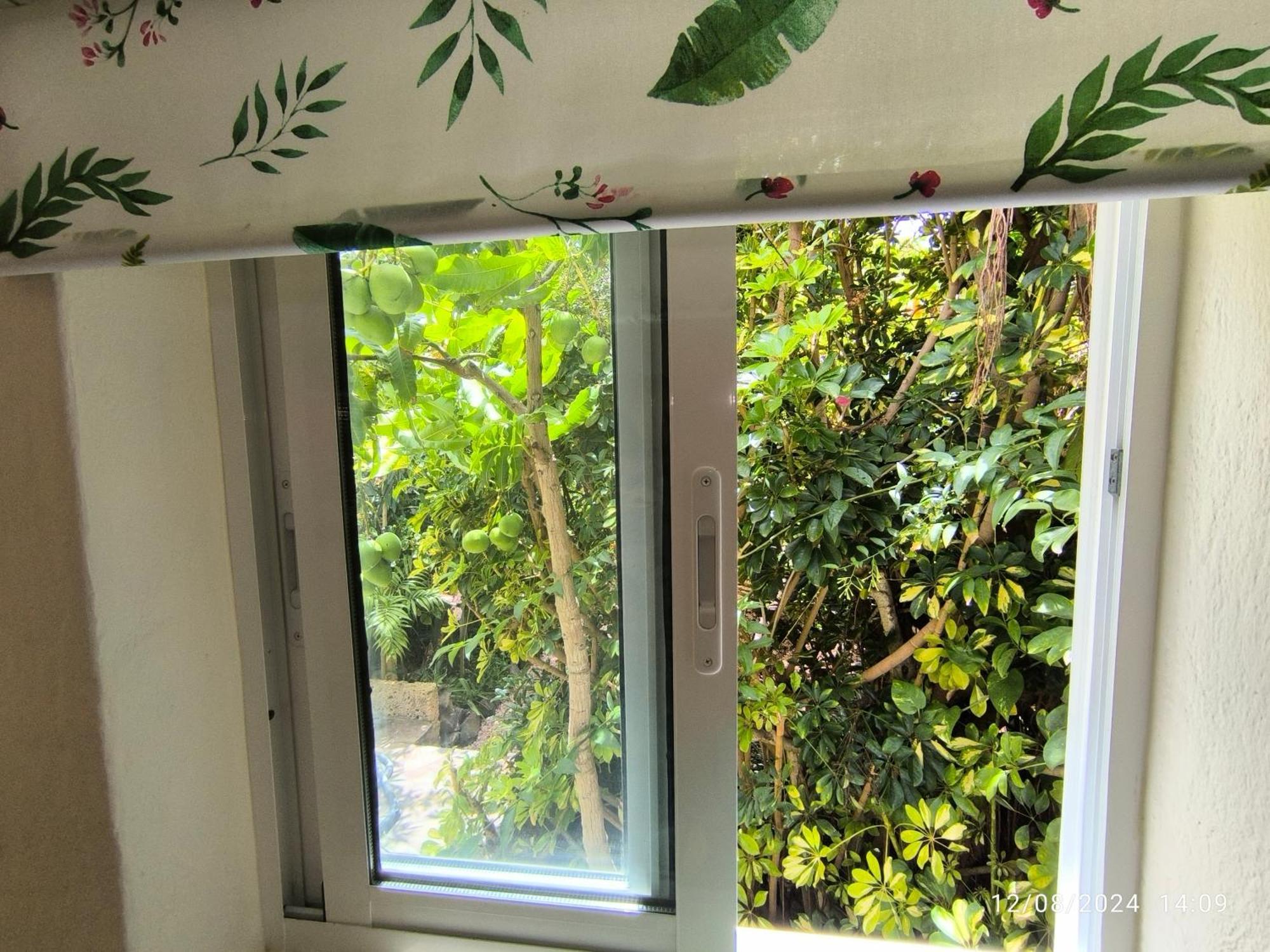 Casa Flora Loft Studio 绍萨尔 外观 照片