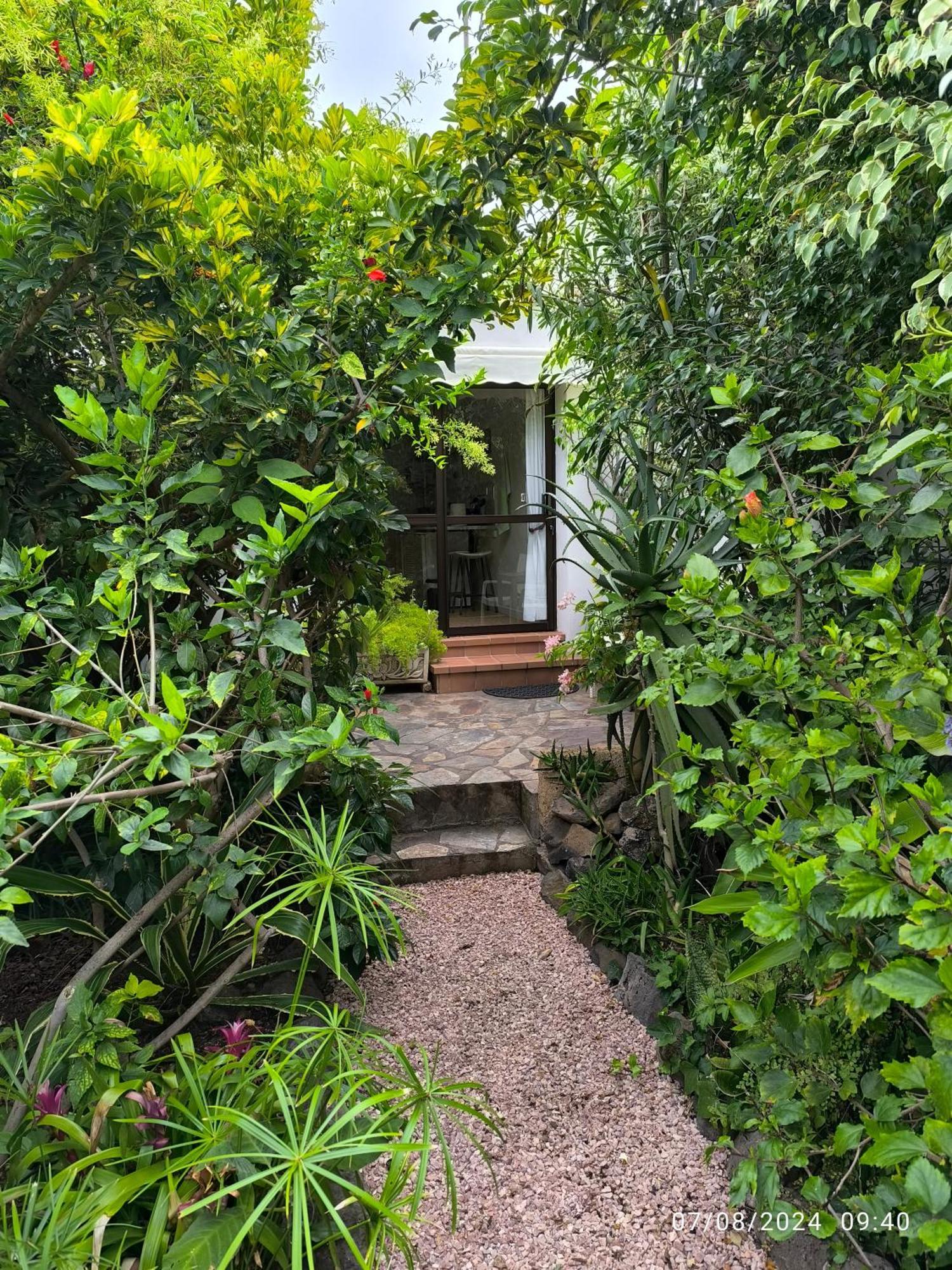 Casa Flora Loft Studio 绍萨尔 外观 照片